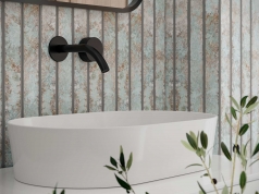 Арена - изображение 2