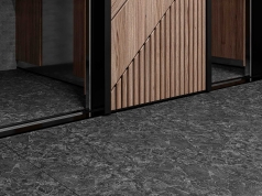 Рэй - изображение 1