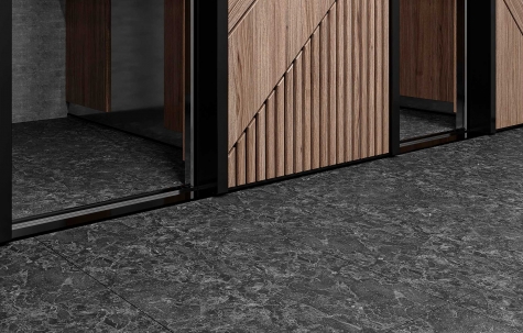 Рэй - изображение 2 Рэй - изображение 1