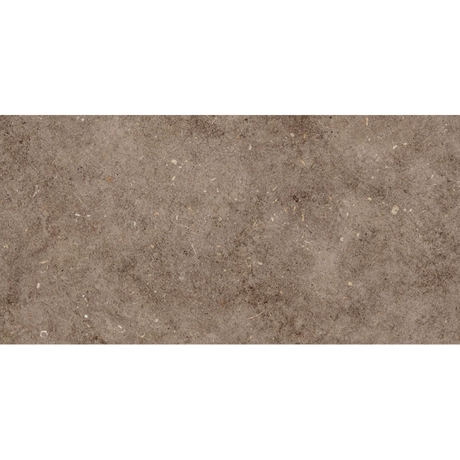 Керамическая плитка Керамин Болонья 4 600х300 - изображение 1