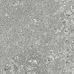 Клинкерная плитка Керамин Юта 2 245х65 - изображение 1