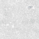 Клинкерная плитка Керамин Юта 1 245х65 - изображение 2
