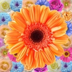 Декор Цветы 200х200 - изображение 3