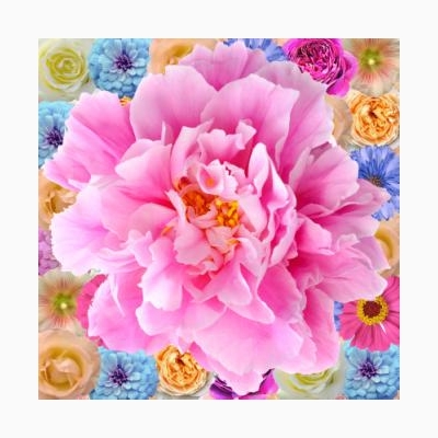 Декор Цветы 200х200 - изображение 1