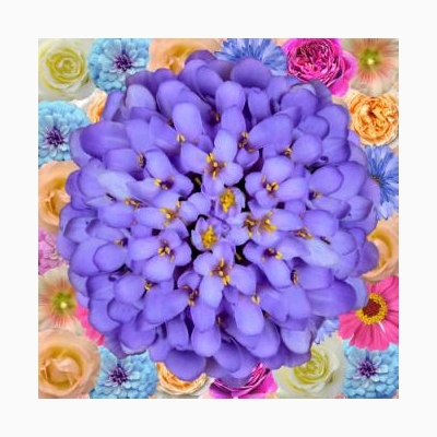 Декор Цветы 200х200 - изображение 2