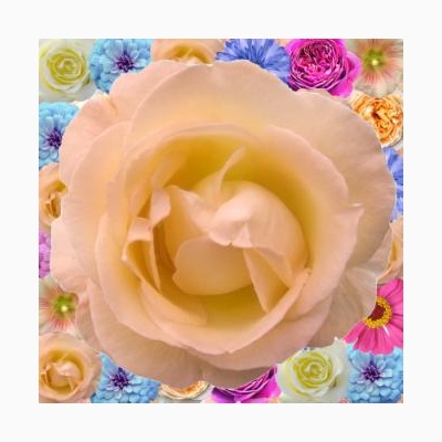 Декор Цветы 200х200 - изображение 4